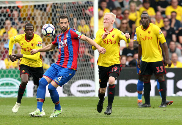 这一决定体 这一决定体