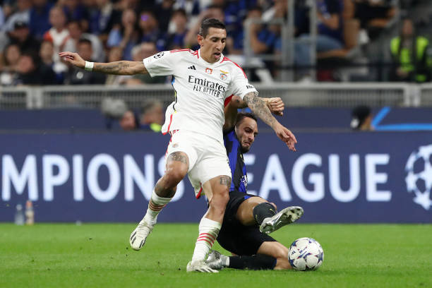 合同条款以 合同条款以